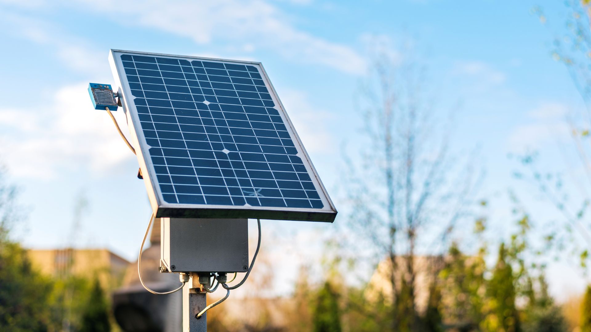 Clear Blue and Carolyn featured on GlobeSt.com