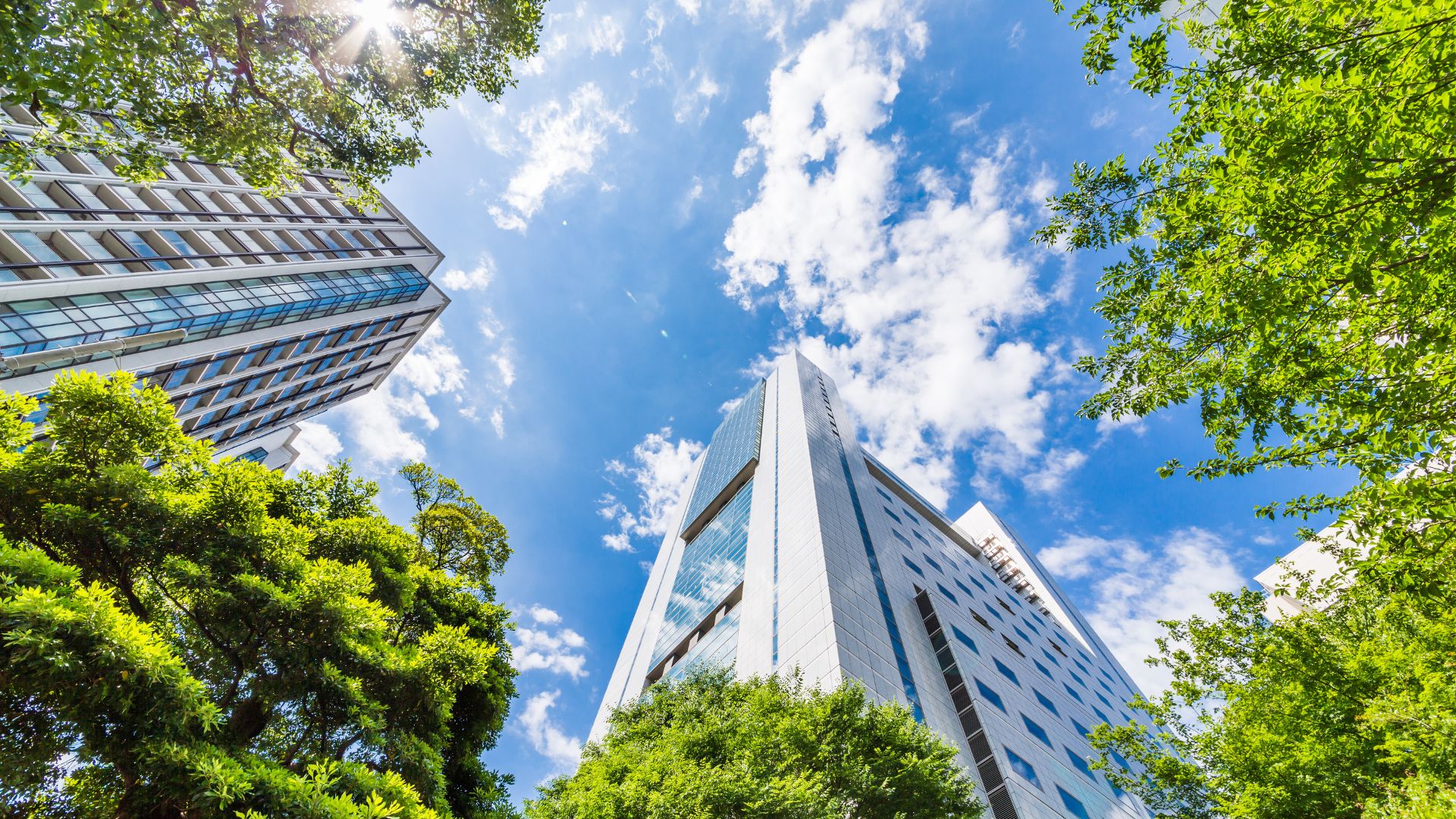 Featured in USA Today: Why Collaboration Is the Future of Sustainable Business