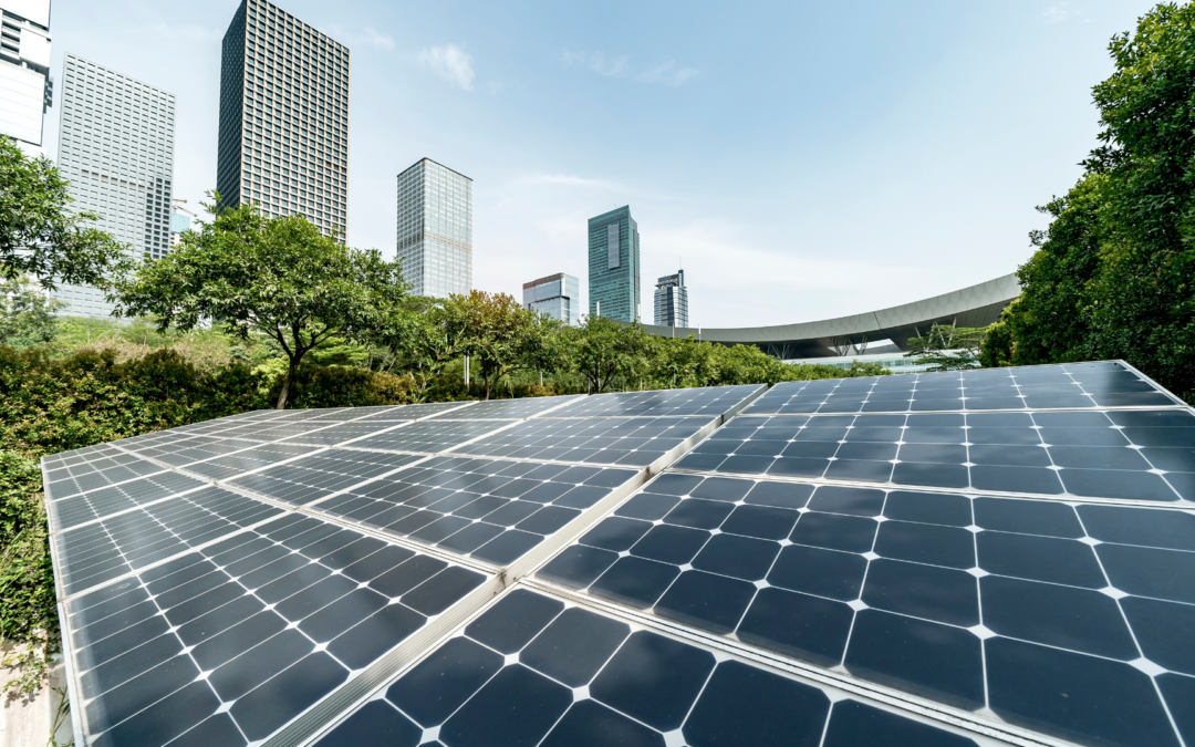 Where Sustainability Meets Performance