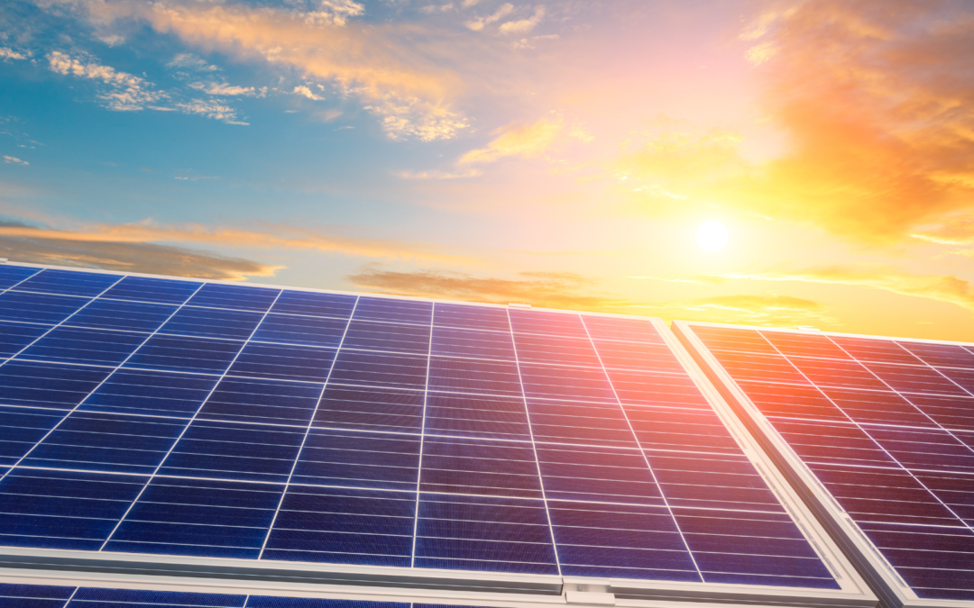 The Future of Commercial Property Management: Why Sustainability Is the New Standard