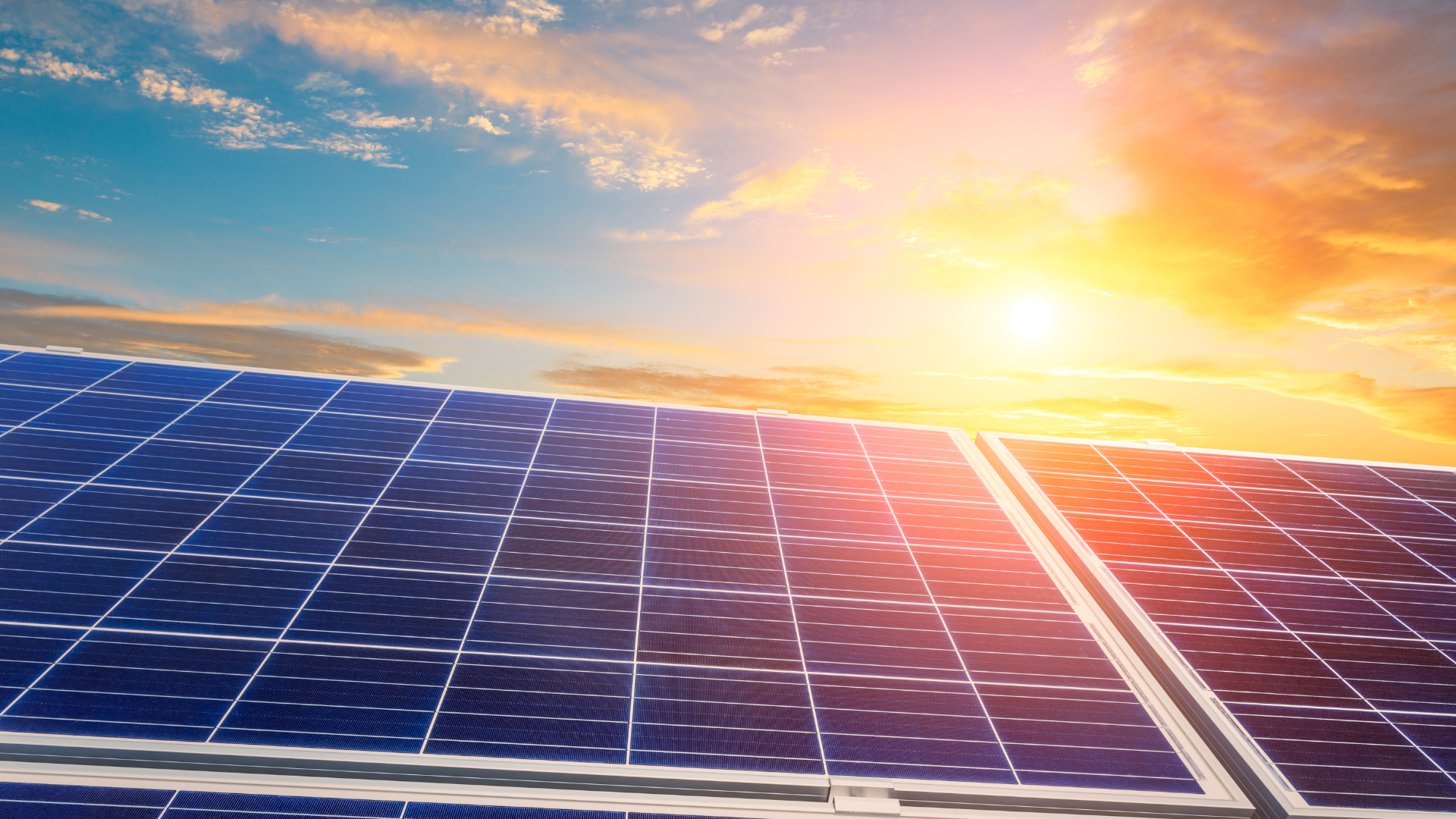 The Future of Commercial Property Management: Why Sustainability Is the New Standard