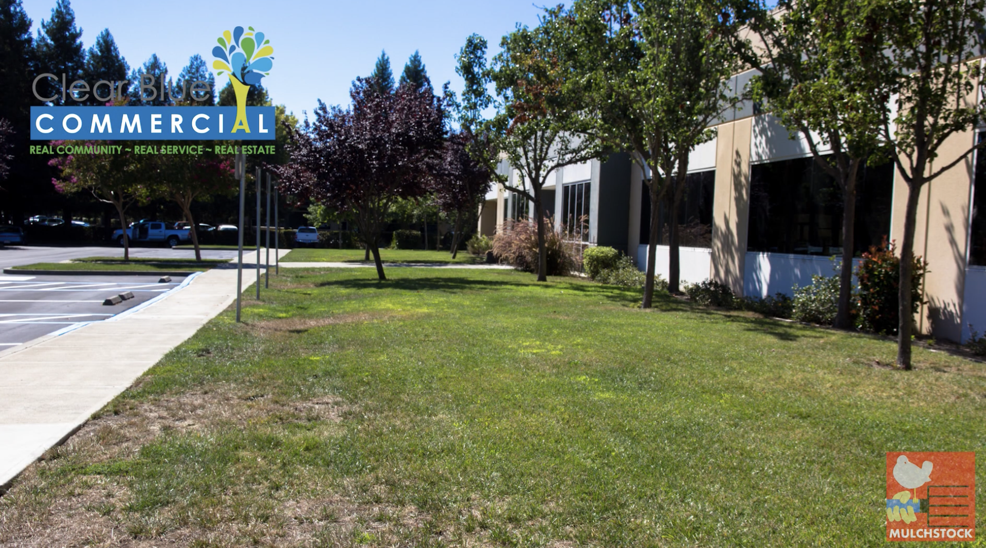 Mulchstock: Largest Peaceful Lawn Transformation