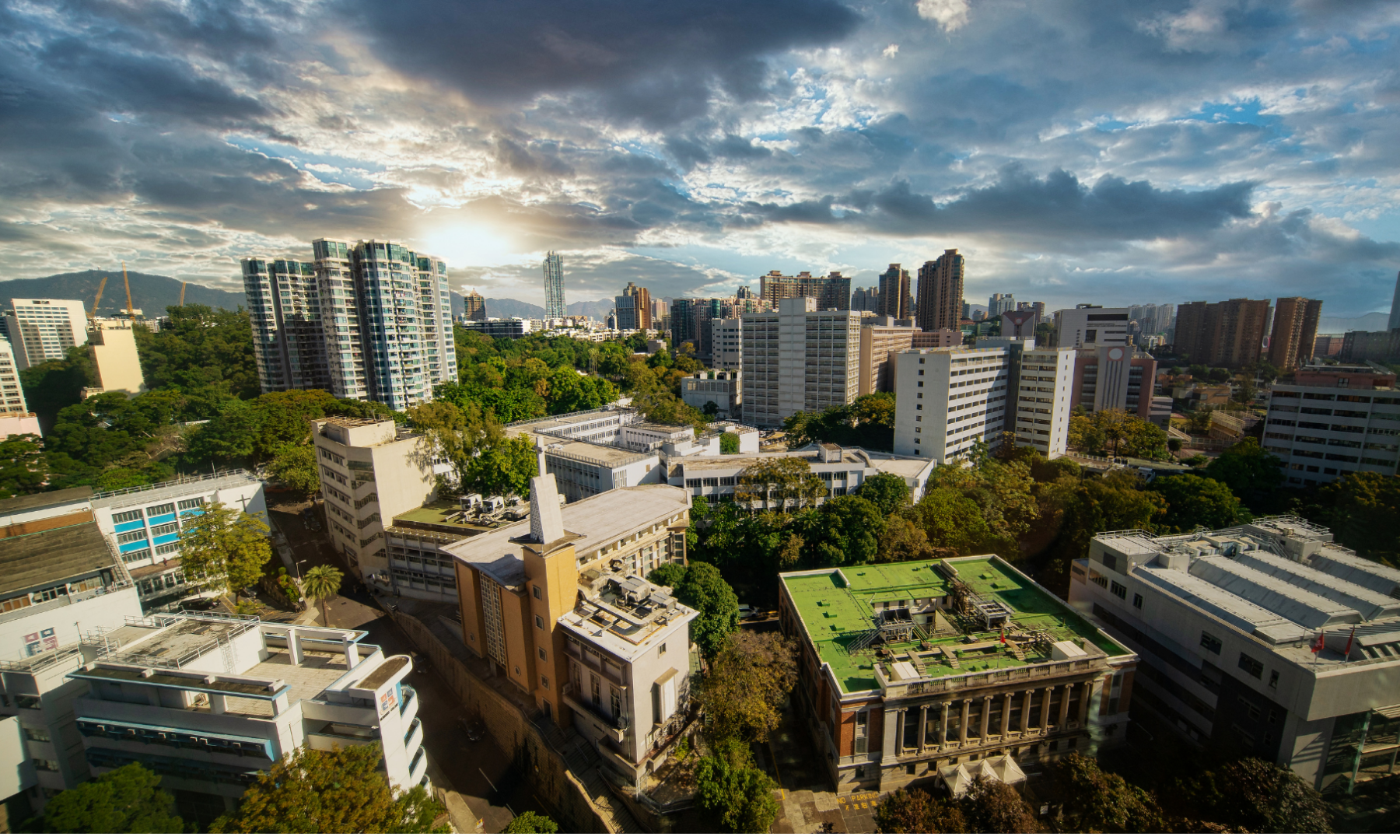 future of sustainable business