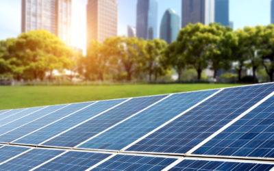 Where Sustainability Meets Performance