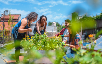 Mulchstock: Transforming Lawns into Sustainable Landscapes