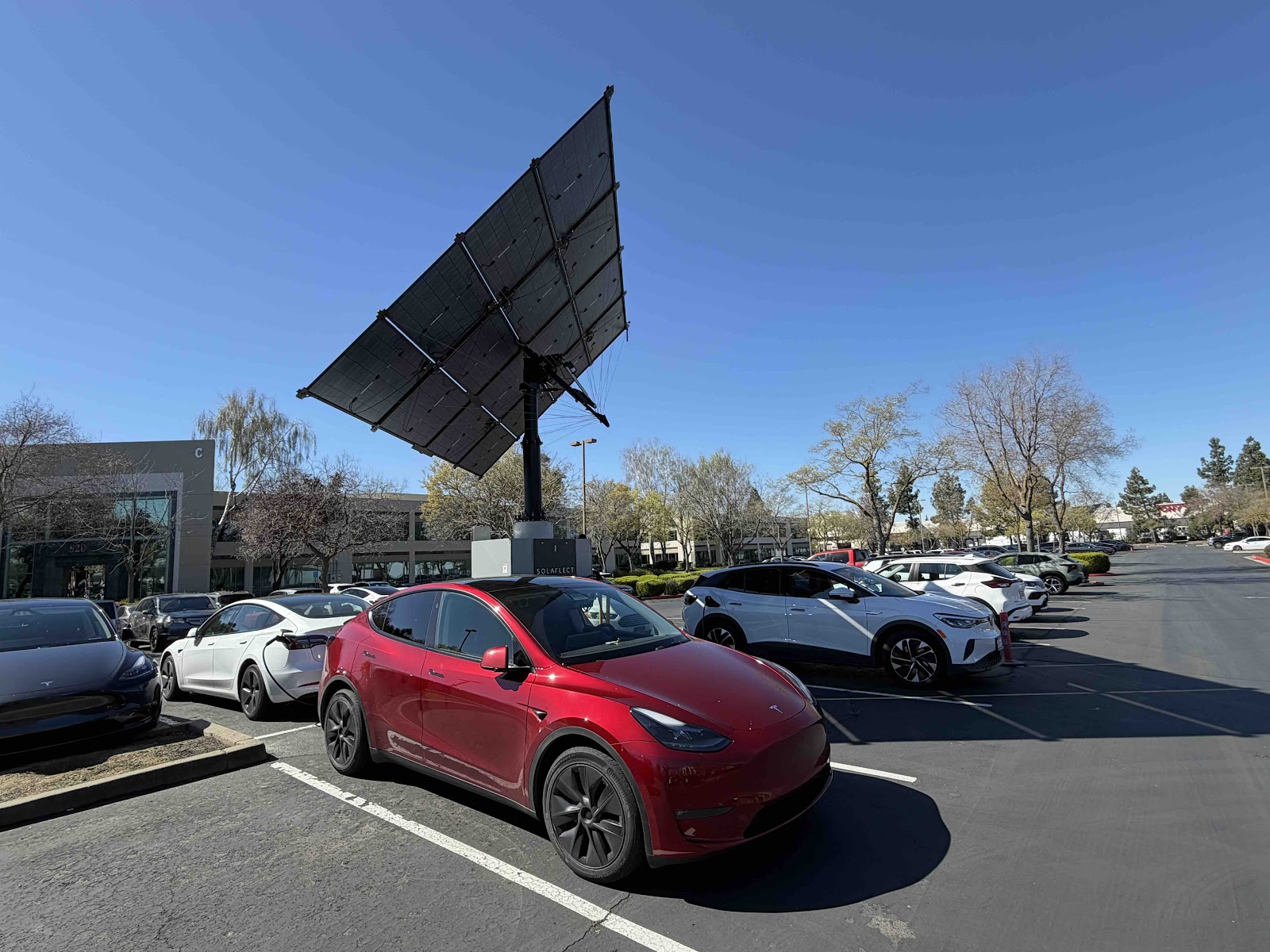 Solar EV charging at a commercial property managed by Clear Blue Commercial Solar EV charging at a commercial property managed by Clear Blue Commercial
